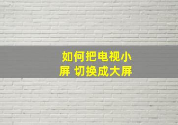 如何把电视小屏 切换成大屏